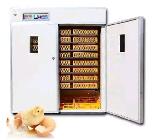 2640 Eggs Digital Automatic Electric Grade 1 Incubator
