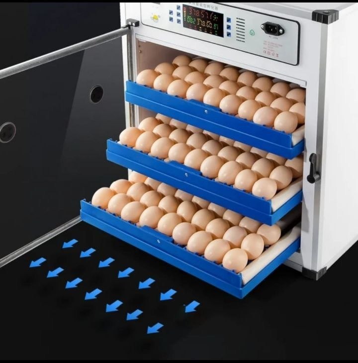 212 Eggs Solar/Electric Digital Automatic Incubator Grade 1