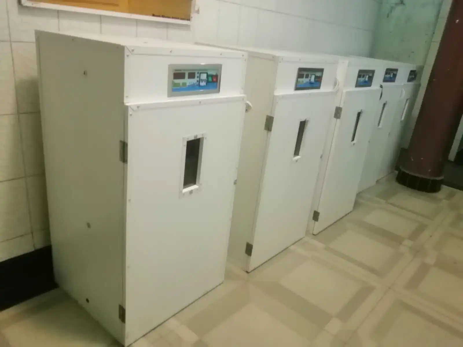 1232 Eggs Digital Automatic Incubator