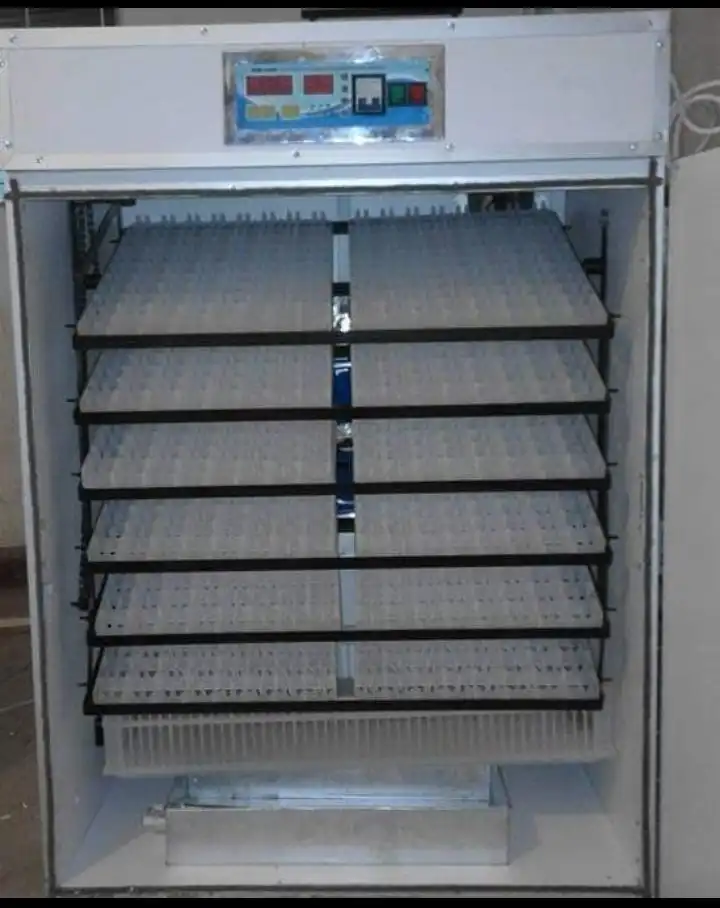 616 Eggs Digital Automatic Incubator