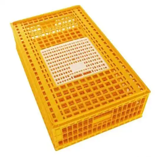 Chicken Eggs Carrier