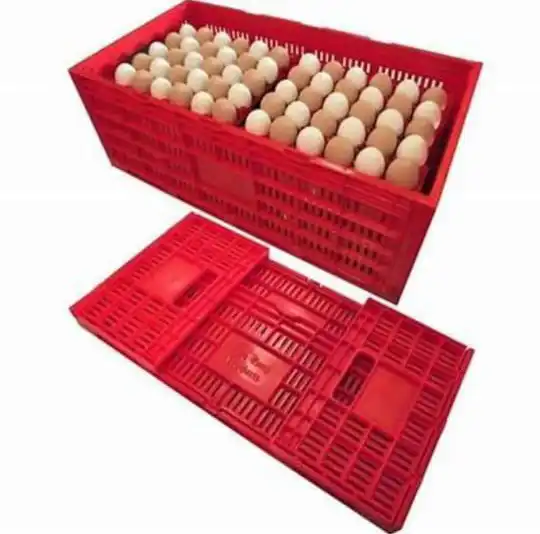 HD Eggs Carrier