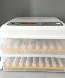 120-eggs-incubator