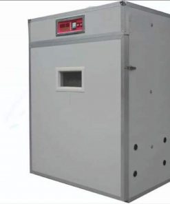 1232-Eggs-Incubators