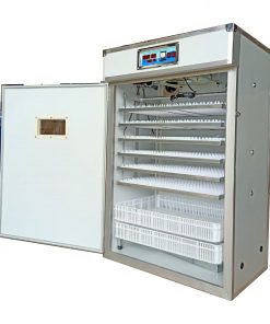 1232-eggs-incubator