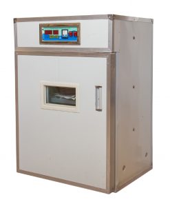 2112-Eggs-Incubator