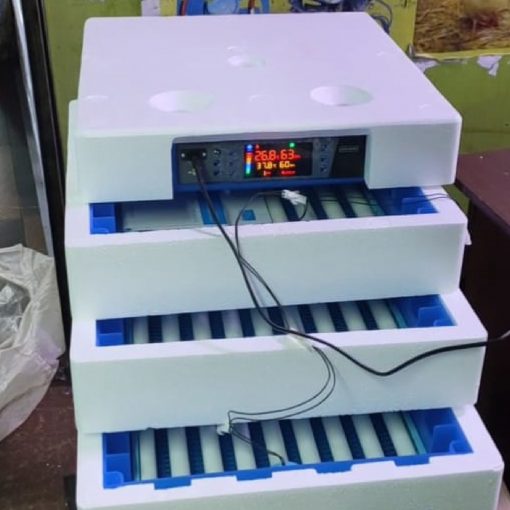 256-eggs-incubator
