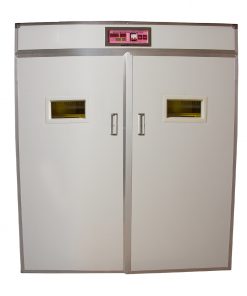 3168-Eggs-Incubator