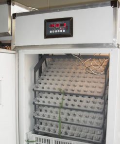 704-Eggs-Incubator