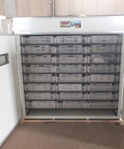 5280-Eggs-Incubator-Machine