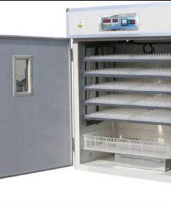 880-Eggs-incubator