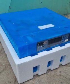 56-Eggs-Incubator-Machine