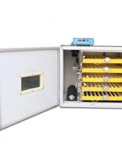 300-Eggs-Incubator