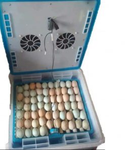 64 Eggs incubator